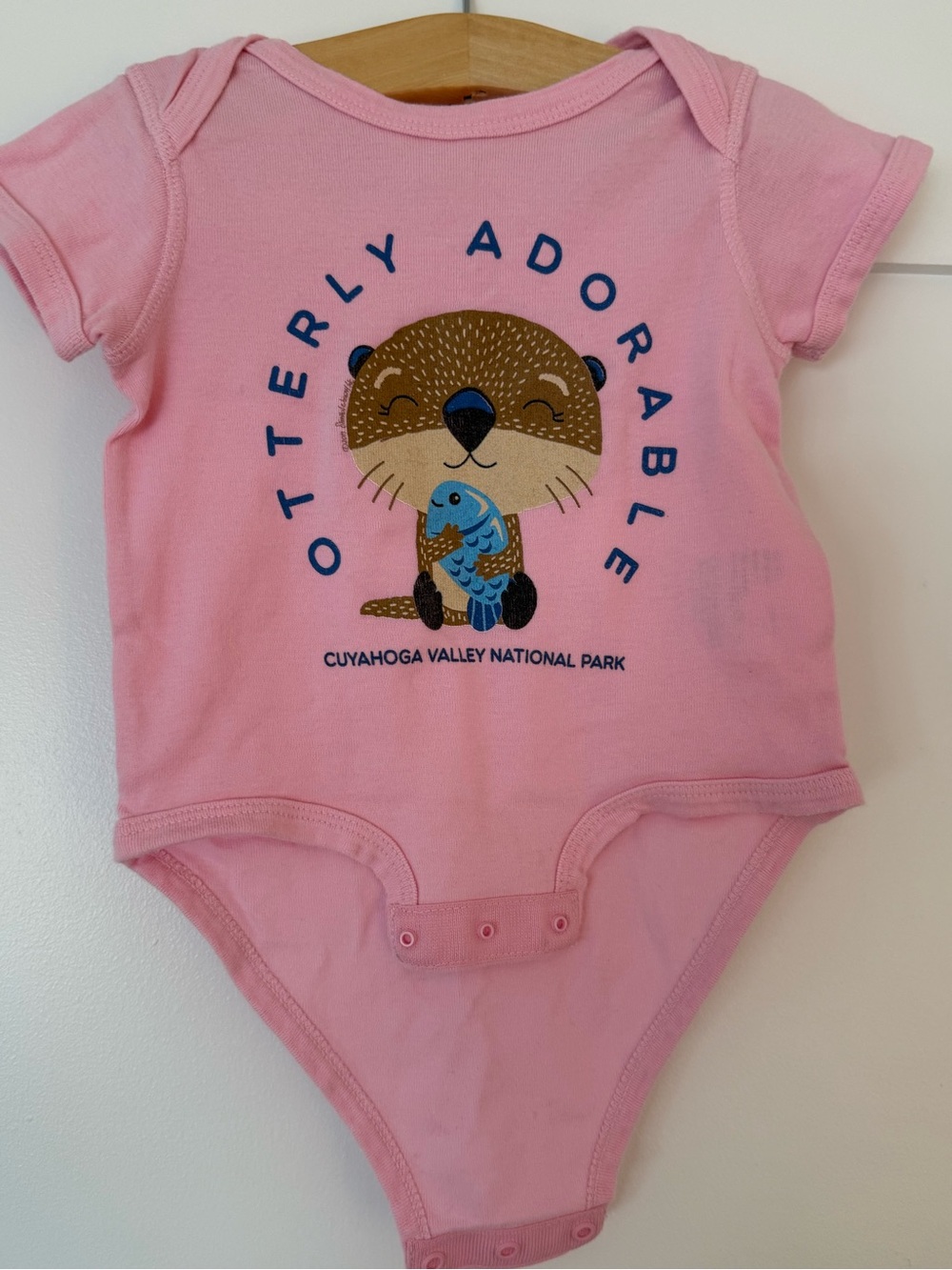 Baby Girl Lot - Capsule Bundle | 9-12 Months - Picture 3 of 16